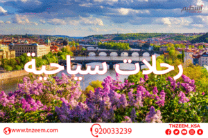 رحلات سياحية مميزة من شركة التنظيم – اكتشف العالم بأسعار مناسبة